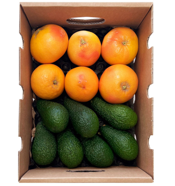 Grapefruits and Avocados from the field to your home