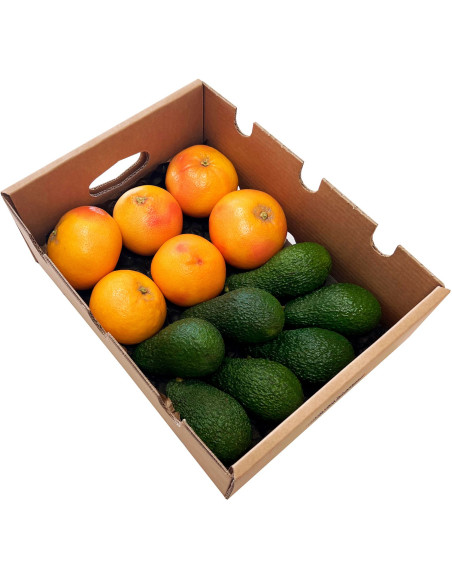 Grapefruits und Avocados vom Feld zu Ihnen nach Hause