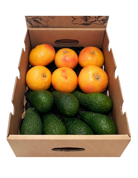 Grapefruits und Avocados vom Feld zu Ihnen nach Hause