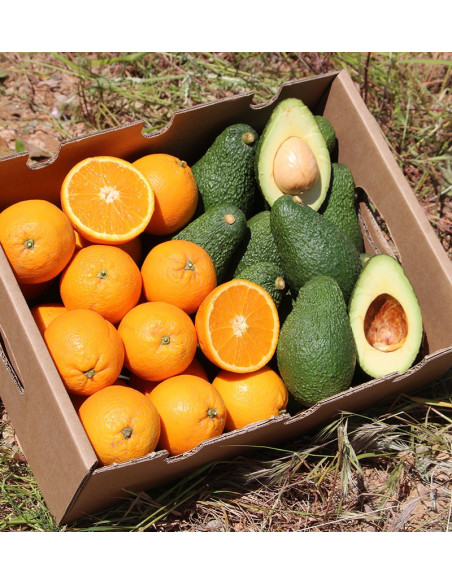 Compra Naranjas y Aguacates | Packs TropiTop