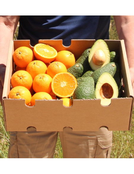 Compra Naranjas y Aguacates | Packs TropiTop
