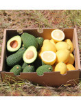 Zitronen und Avocado