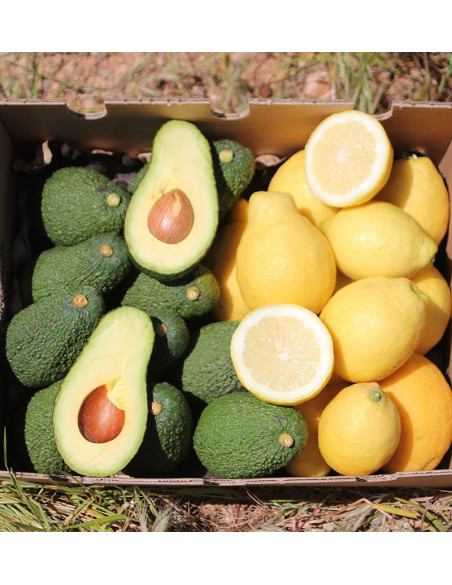 Limones y Aguacates online al mejor precio
