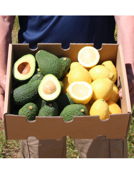 Limones y Aguacates online al mejor precio