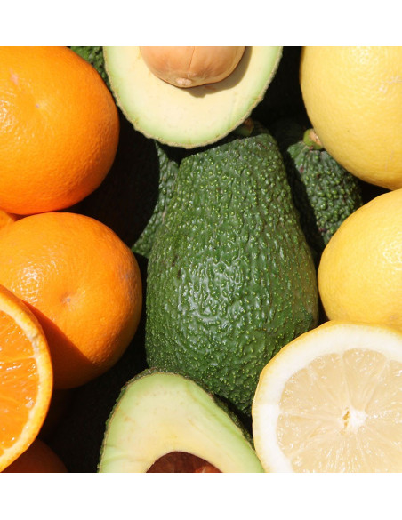 Frühstück mit Avocados: Paket Avocados, Zitronen und Orangen