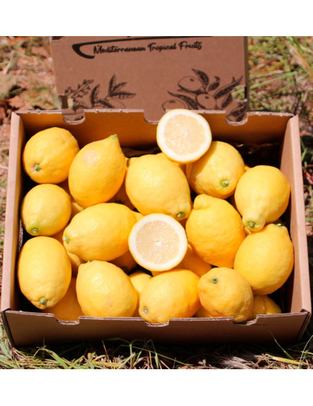 Comprar Limones Online | Limones Frescos Directamente del Campo