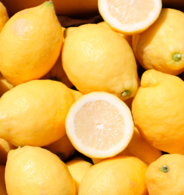 Comprar Limones Online | Limones Frescos Directamente del Campo