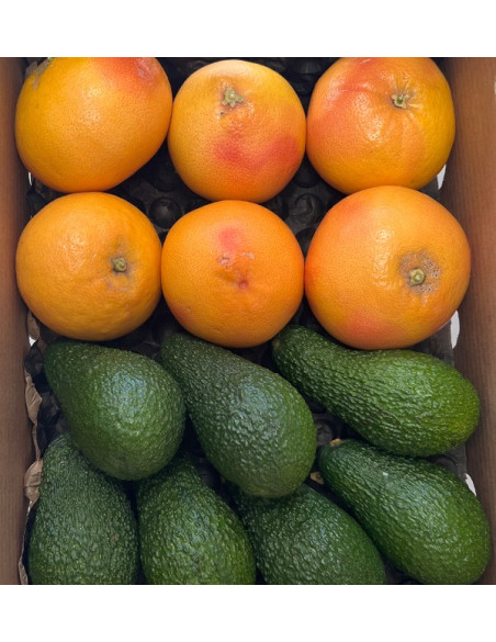 Grapefruits und Avocados vom Feld zu Ihnen nach Hause