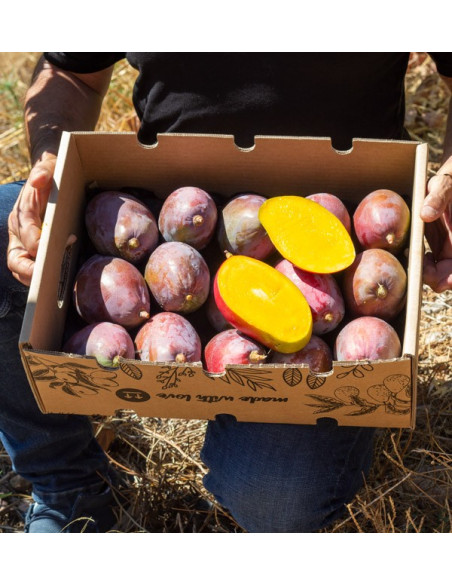 Acquista Mangos Online | La Migliore Selezione di Mango Freschi