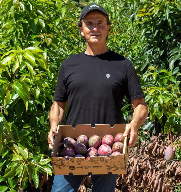 Agricultor de Mango
