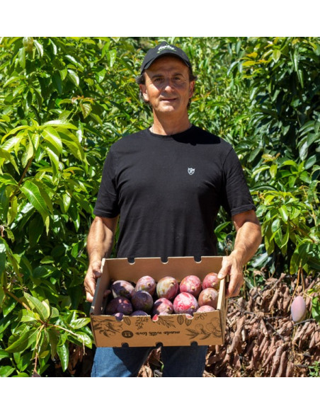 Agricultor de Mango