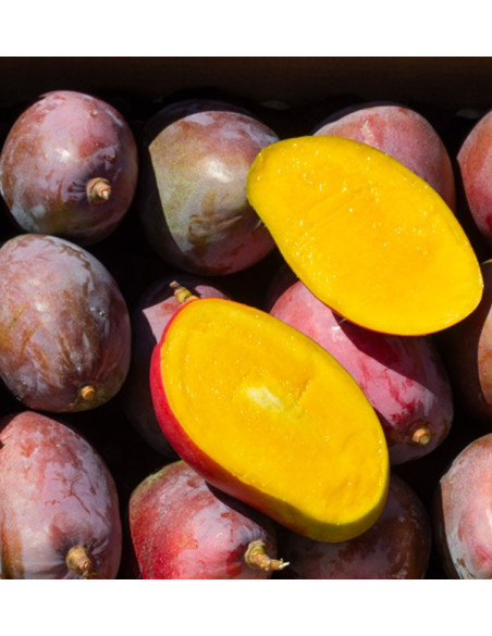 Acquista Mangos Online | La Migliore Selezione di Mango Freschi