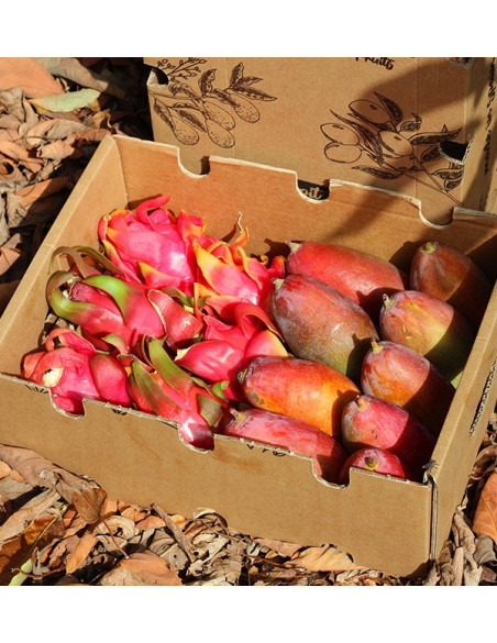 Buy pitaya and mangoes