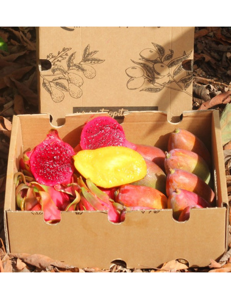 Pitaya e Mango Tropitop