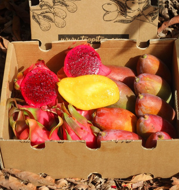 Buy pitaya and mangoes