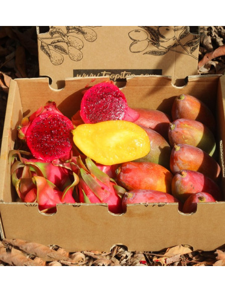 Acheter Pitaya et mangue au meilleur prix