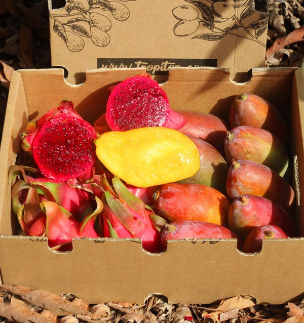 Buy pitaya and mangoes