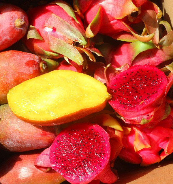 Buy pitaya and mangoes