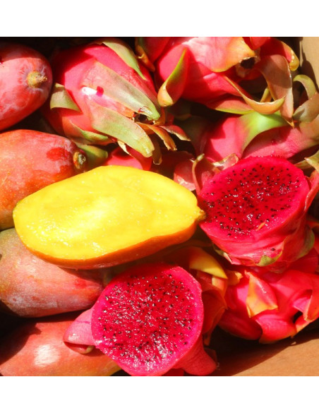 Buy pitaya and mangoes