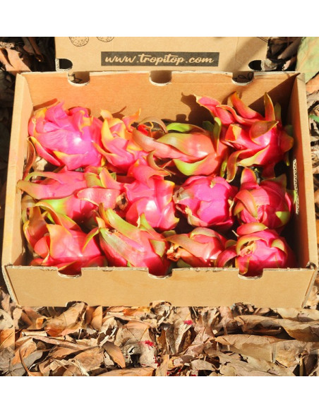 Acheter des pitayas en ligne