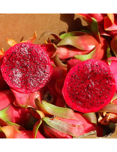 Comprar Pitahayas Online | Fruta del dragón fresca y llena de sabor