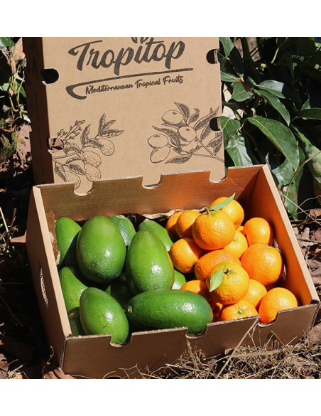 Buy clementines and avocados bacon