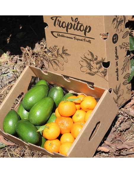 Avocats bacon et mandarines clémentines