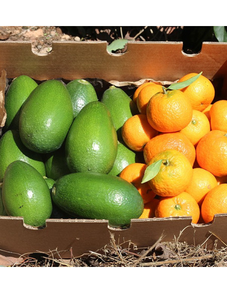 Avocats bacon et mandarines clémentines