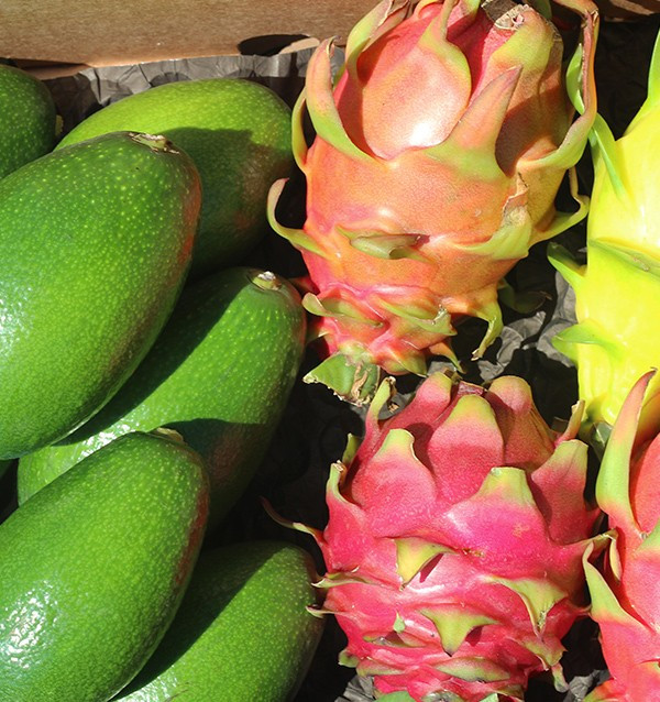 Mix pitahayas and smooth skin avocados 2