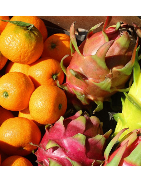 Mandarine et pitahaya