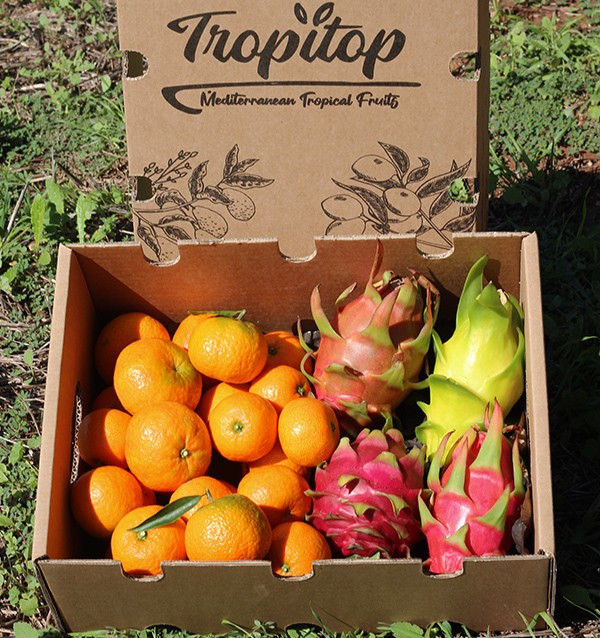 Mandarine et pitahaya