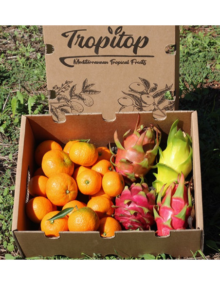 Comprar mandarina y pitahaya