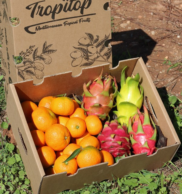 Mandarine et pitahaya