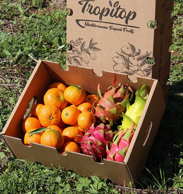 Mandarinen und Drachenfrucht