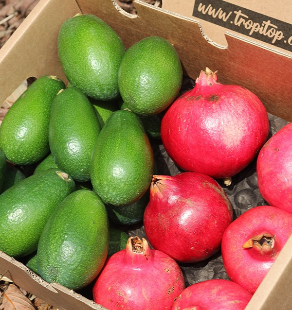 Pack aguacates piel lisa y granadas