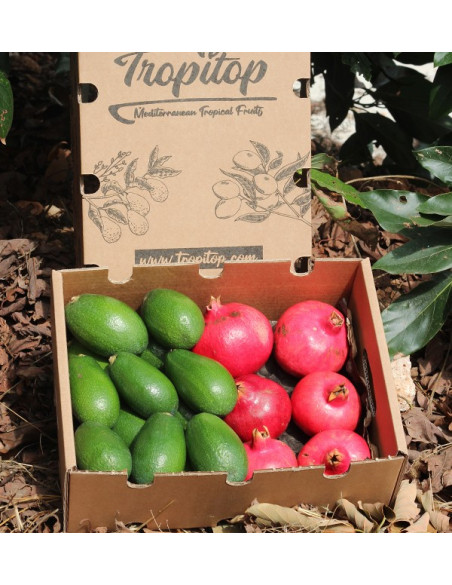 Buy pomegranates and avocados