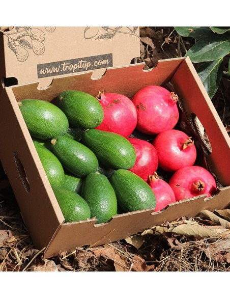 Buy pomegranates and avocados