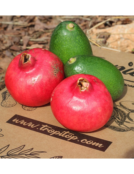 Buy pomegranates and avocados