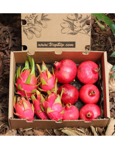 Acheter des grenades et des pitahayas en ligne sur Tropitop