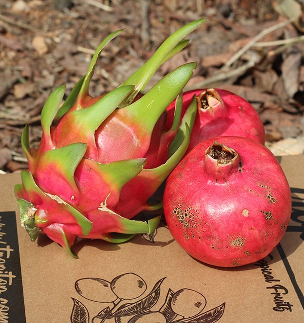 Comprare melagrane e pitaya online su Tropitop