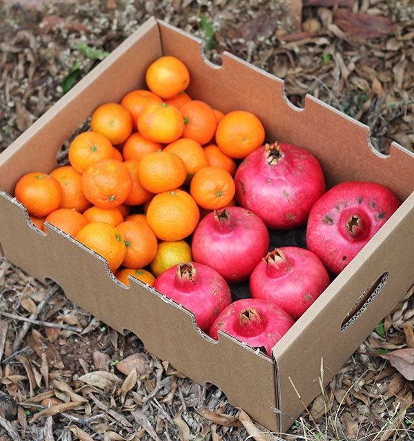 Grenades et mandarines
