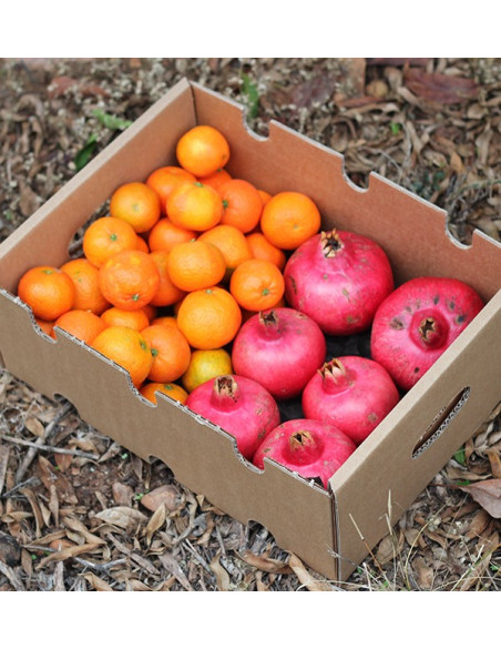 Pomegranates and mandarins