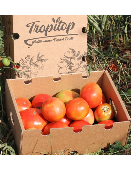 Compre Tomates Online - Tomates Frescos Saborosos e de Qualidade