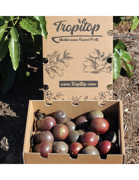 Comprar Fruta da Paixão (Maracujá) online