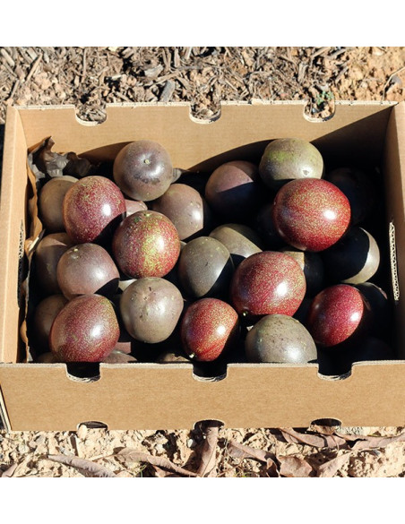 Comprar Fruta da Paixão (Maracujá) online