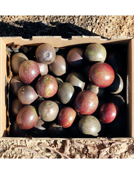 Comprar Fruta da Paixão (Maracujá) online
