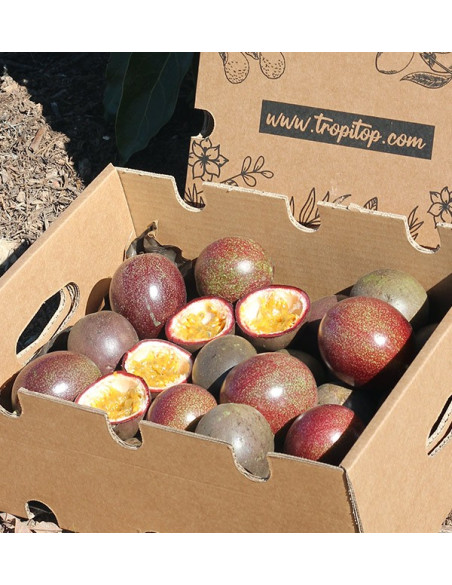 Buy Passion Fruit Online