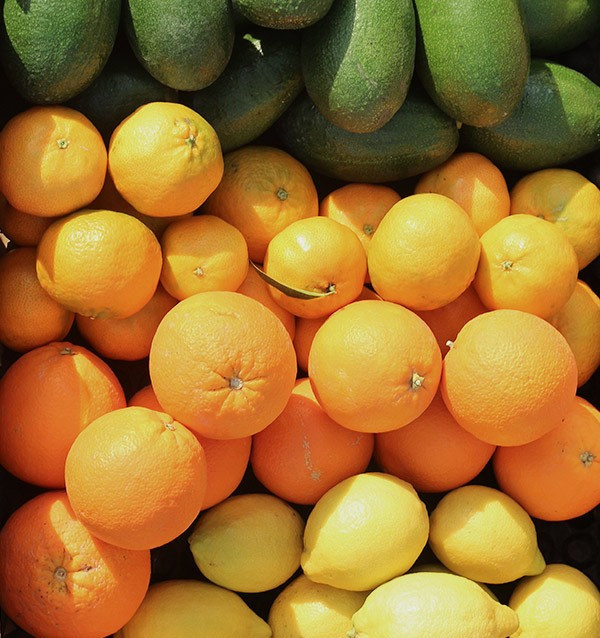 Avocado, orange, mandarin & lemon pack