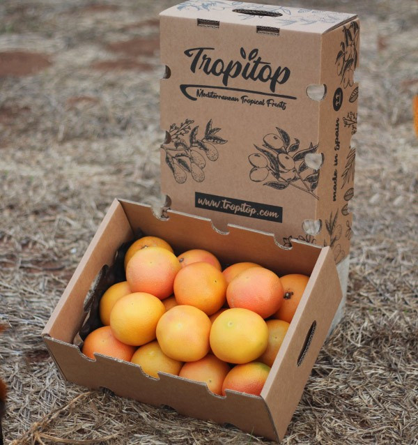 Comprare pompelmi online - Tropitop