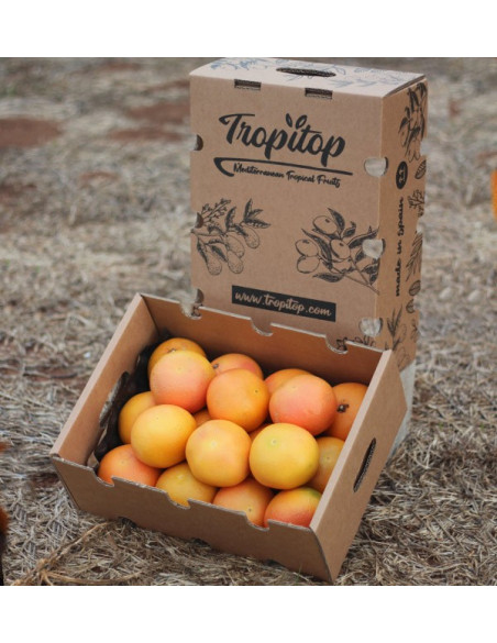 Comprare pompelmi online - Tropitop